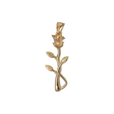 Ana Dyla gouden ketting met roos