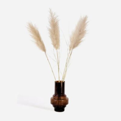 Droogbloemen 'Cortaderia Plum'