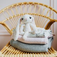 Babydoekjes en konijn