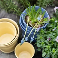 Duurzaam cadeau voor de tuin Duurzaam cadeau voor de tuin